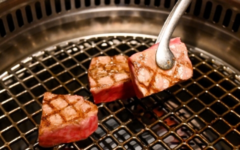 Du bœuf japonais Wagyu à la cuisine locale ! Voici 5 plats et restaurants incontournables de Himeji !