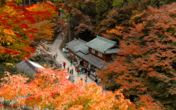 Zu sehen in „Last Samurai“! Berg Shosha Engyō-ji-Tempel in Himeji