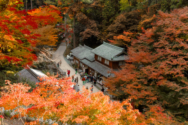 Zu sehen in „Last Samurai“! Berg Shosha Engyō-ji-Tempel in Himeji