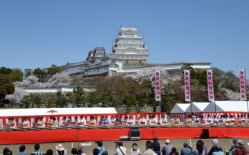 Burg Himeji Kirschblüten-Betrachten-Festival