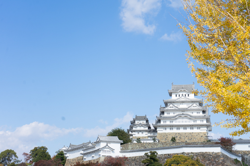 Featured in The Last Samurai! Shoshazan Engyoji Temple in Himeji Trip