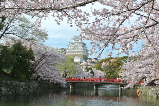 Himeji Castle Spring 2