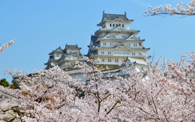 Cherry Blossom & Himeji Castle: Tile Factory Tour, Craft Experience, and Guided Cherry Blossom Tour of Himeji Castle　　【櫻花×姬路城】 瓦片工廠參觀與瓦藝DIY體驗＆姬路城櫻花導覽之旅